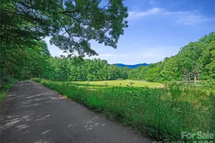 270 Dana Rd, Green Mountain, NC 28740 - Photo 35