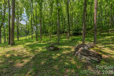 702 Love Joy Road, Canton, NC 28716 - Photo 19