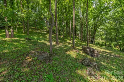 702 Love Joy Road, Canton, NC 28716 - Photo 17