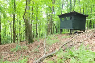 141 Owl Hvn Ln, Cedar Mountain, NC 28718 - Photo 19