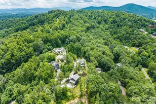 49 Timber Moss Dr, Asheville, NC 28804 - Photo 37