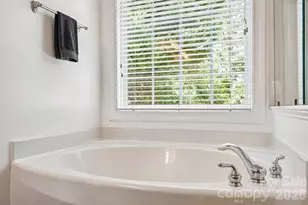 10823 Persimmon Creek Dr, Charlotte, NC 28227 - Photo 27