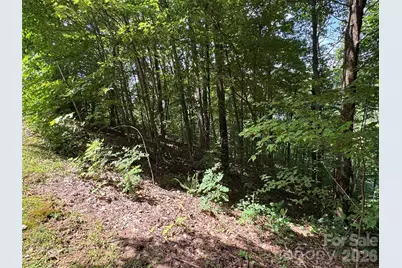 352 High Hickory Trail #20, Swannanoa, NC 28778 - Photo 11