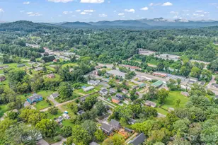 27 Busbee View Rd, Asheville, NC 28803 - Photo 39