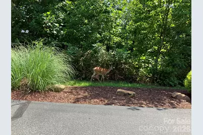 1211 Mountain Vista Drive, Nebo, NC 28761 - Photo 11