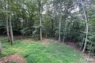 54 Hamlin Ln, Mars Hill, NC 28754 - Photo 13