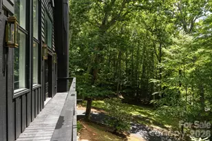 50 Turkey Trot Ln, Burnsville, NC 28714 - Photo 41