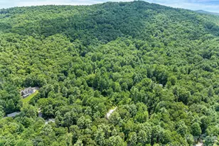 201 Valeria Ln, Pisgah Forest, NC 28768 - Photo 43