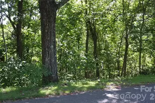 11 & 21 Sunset Ridge Dr, Columbus, NC 28722 - Photo 1