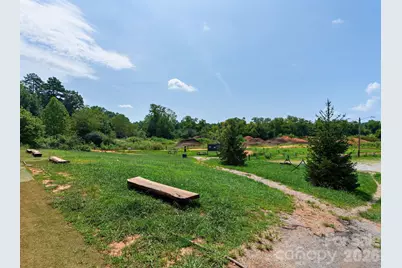 701 Old Fanning Bridge Road, Fletcher, NC 28732 - Photo 21