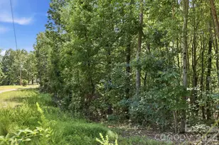 464 Mason Rd, Ellenboro, NC 28040 - Photo 39