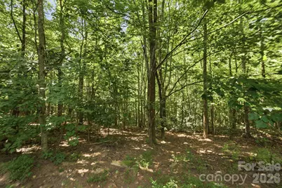 464 Mason Road, Ellenboro, NC 28040 - Photo 41