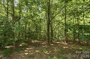 464 Mason Rd, Ellenboro, NC 28040 - Photo 41