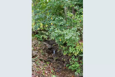 366 Sequoyah Drive, Waynesville, NC 28785 - Photo 47