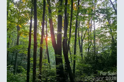 B1-B4 Anglers Ridge, Waynesville, NC 28786 - Photo 7