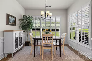 31450 Royal Tern Ln, Indian Land, SC 29707 - Photo 11