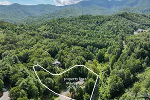 24 Green Burch Dr, Bryson City, NC 28713 - Photo 39