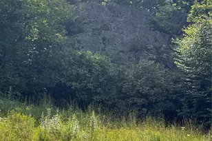189 Old Nc 181 Hwy, Newland, NC 28657 - Photo 23