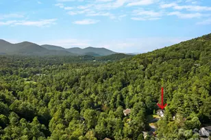 306 Golden Hawk Trail, Asheville, NC 28805 - Photo 5