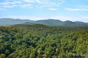 306 Golden Hawk Trail, Asheville, NC 28805 - Photo 39