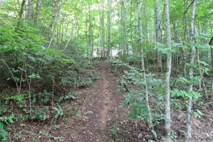 261 Warren Creek Rd, Candler, NC 28715 - Photo 27