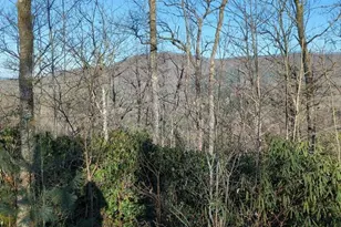 21 Hidden River None, Hayesville, NC 28904 - Photo 1