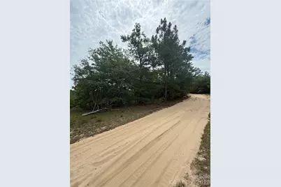 Tbd Sheridan Oliver Road, Ruby, SC 29741 - Photo 3