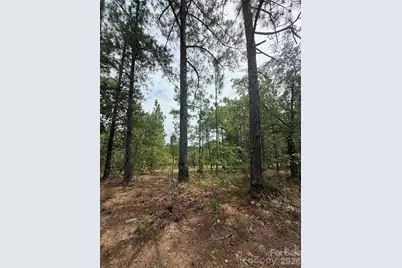 Tbd Sheridan Oliver Road, Ruby, SC 29741 - Photo 1