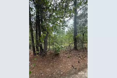 Tbd Sheridan Oliver Road, Ruby, SC 29741 - Photo 5