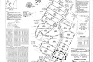 0 Eagle Point, Mount Gilead, NC 27306 - Photo 1