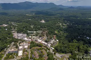 77 Chestnut St, Tryon, NC 28782 - Photo 31