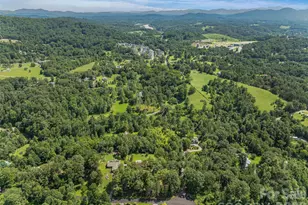 38 Chadwick Wade Dr, Asheville, NC 28804 - Photo 45