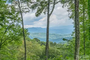 332 Gadohi Trail, Maggie Valley, NC 28751 - Photo 3