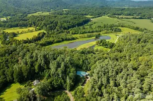 98 New Sorrells Est, Brevard, NC 28712 - Photo 43