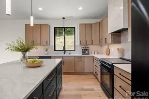 7 Spicebush Ln, Weaverville, NC 28787 - Photo 15