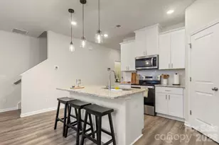 3045 Belstock Ct, Charlotte, NC 28216 - Photo 9