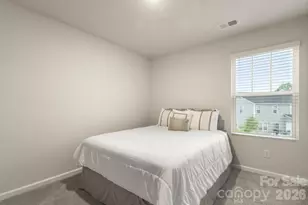 3045 Belstock Ct, Charlotte, NC 28216 - Photo 19