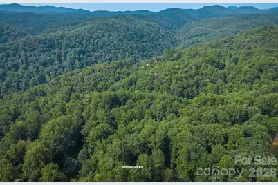 1051 Frost Road, Saluda, NC 28773 - Photo 23
