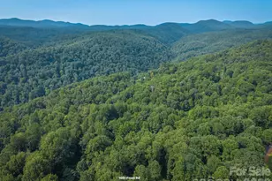 1051 Frost Rd, Saluda, NC 28773 - Photo 23