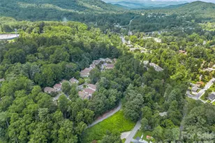 311 Ewarts Hill Rd, Hendersonville, NC 28739 - Photo 45