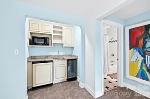 10 Blackberry Ln, Asheville, NC 28804 - Photo 35