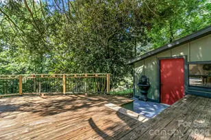 46 Monte Vista Cir, Candler, NC 28715 - Photo 41