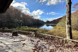 424 Lakeview Dr, Tryon, NC 28782 - Photo 15