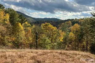 165 Riverbend Frst Dr, Asheville, NC 28805 - Photo 1