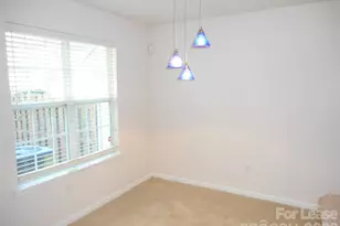 9629 Elizabeth Townes Ln, Charlotte, NC 28277 - Photo 9