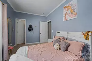 207 Little Horse Rd, Waynesville, NC 28786 - Photo 21