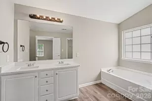10035 Barrands Ln, Charlotte, NC 28278 - Photo 27