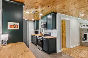 241 E Deep Creek Rd, Bryson City, NC 28713 - Photo 29