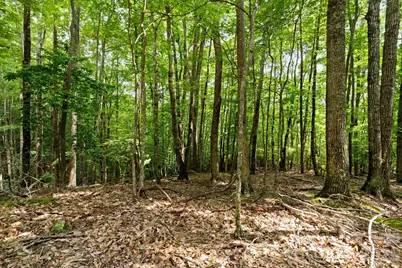 203 Sourwood Lane #186, Beech Mountain, NC 28604 - Photo 9