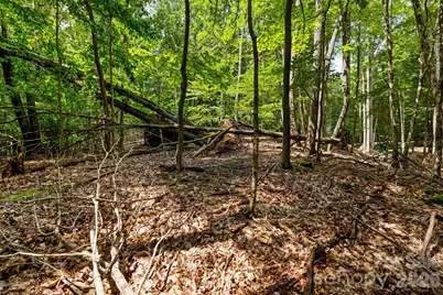 203 Sourwood Lane #186, Beech Mountain, NC 28604 - Photo 11